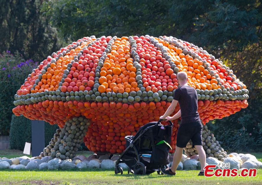 Visitors walk behind a sculpture displaying an UFO object during the autumn exhibition \'Flying\' at the horticultural exhibition \'ega\' (Erfurt Garden Construction Exhibition) in Erfurt, Germany, Wednesday, Sept. 5, 2018. Gardeners created different sculptures with thousands of pumpkins. The exhibition started on Sept. 2, 2018 and last until Oct. 31, 2018.(Photo/Agencies)