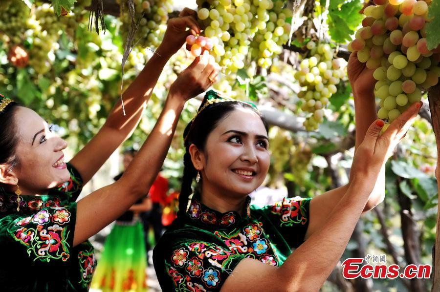 Eating grapes 

The White Dew season is just the time when grapes become widely available for sale. Eating grapes in autumn can help dispel one\'s internal heat and expel toxins.