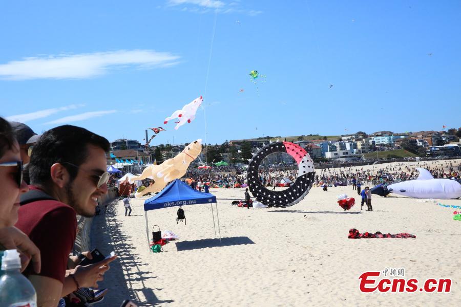 Visitors look at kites during the 40th Kite Flying Festival at Bondi Beach, Sydney, Australia, Sept. 9, 2018. (Photo: China News Service/Tao Shelan).