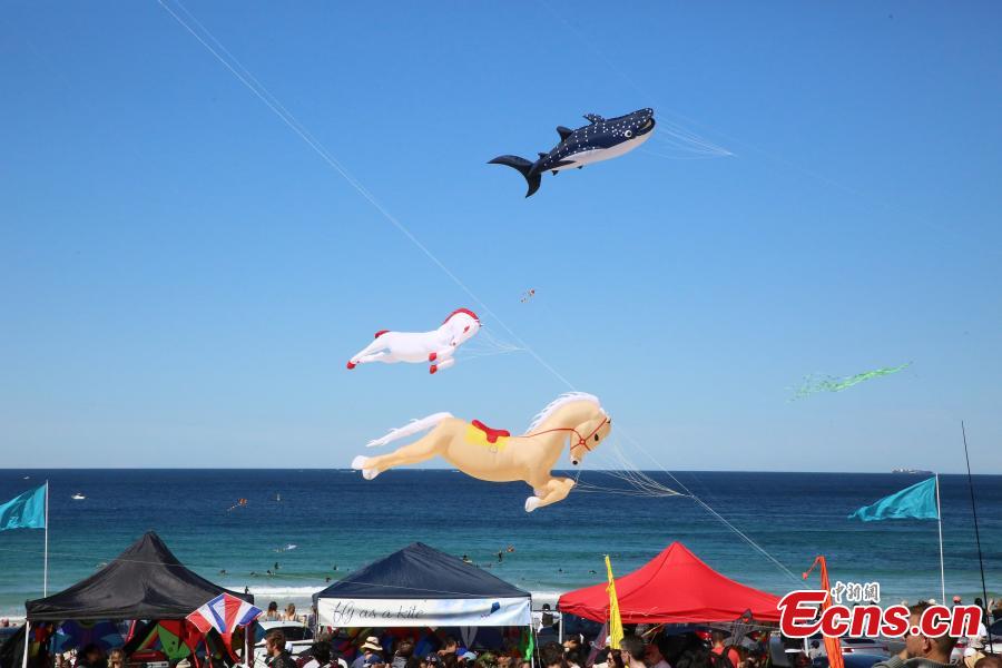 Visitors look at kites during the 40th Kite Flying Festival at Bondi Beach, Sydney, Australia, Sept. 9, 2018. (Photo: China News Service/Tao Shelan).