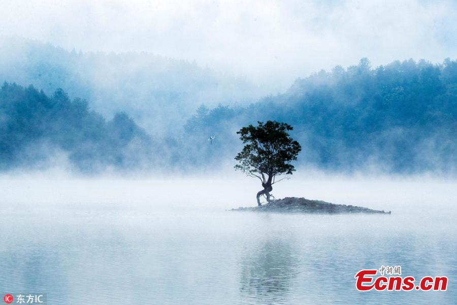 Mist drifts over Qishu Lake in Huangshan City in Anhui Province, Sept. 9, 2018. Surrounded by mountains, the lake is located two kilometers east of Hongcun Village, a UNESCO heritage site, and it is a tourist attraction known for its beautiful natural landscape. (Photo/IC)