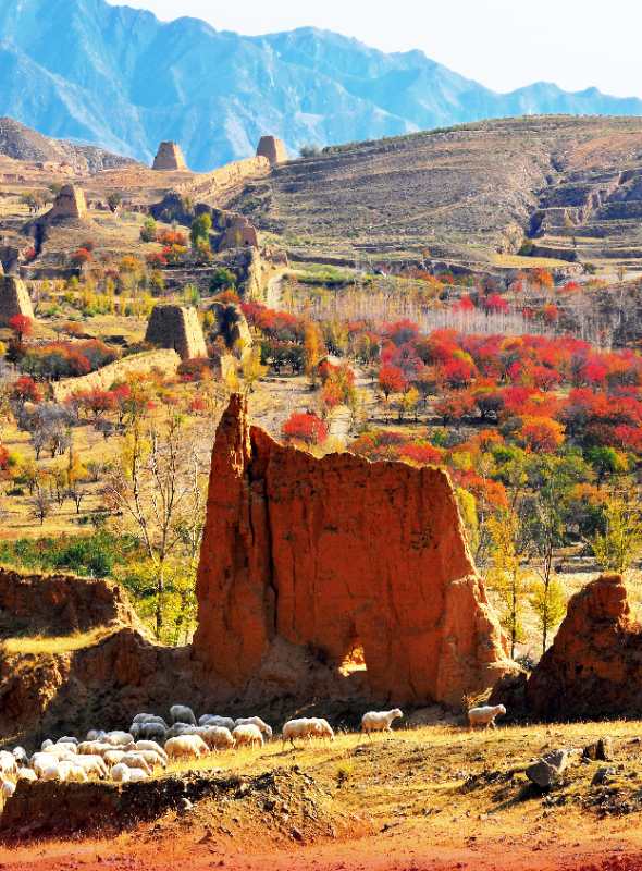 The relics of Great Wall of Datong. (Photo by Li Yi and Han Jianjun/for chinadaily.com.cn)