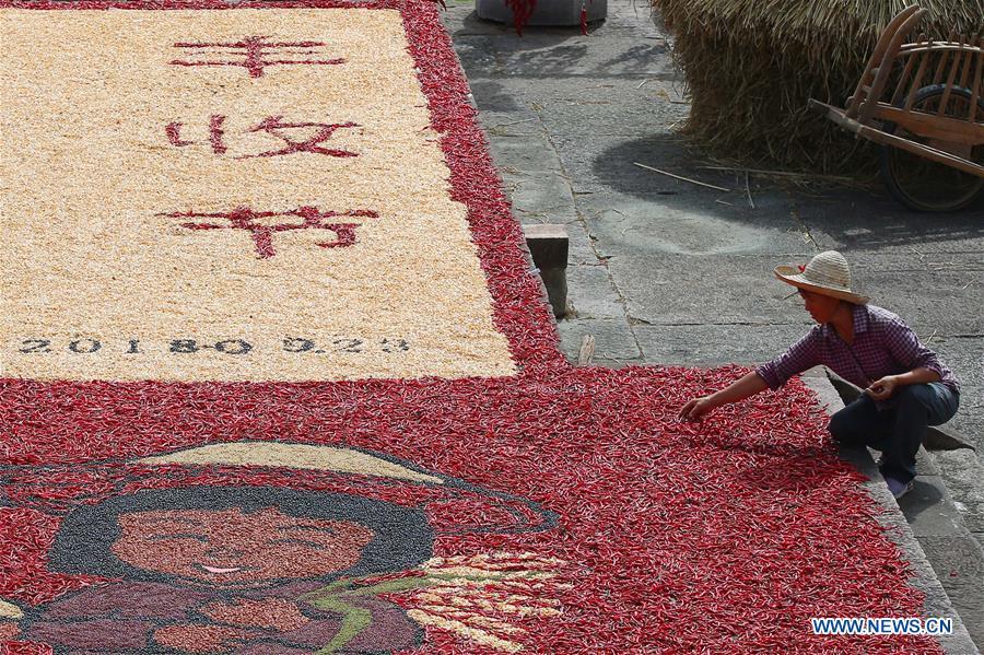 A villager airs crops at Chengkan Ancient Village in the city of Huangshan, east China\'s Anhui Province, on Sept. 12, 2018. (Xinhua/Shi Yalei)