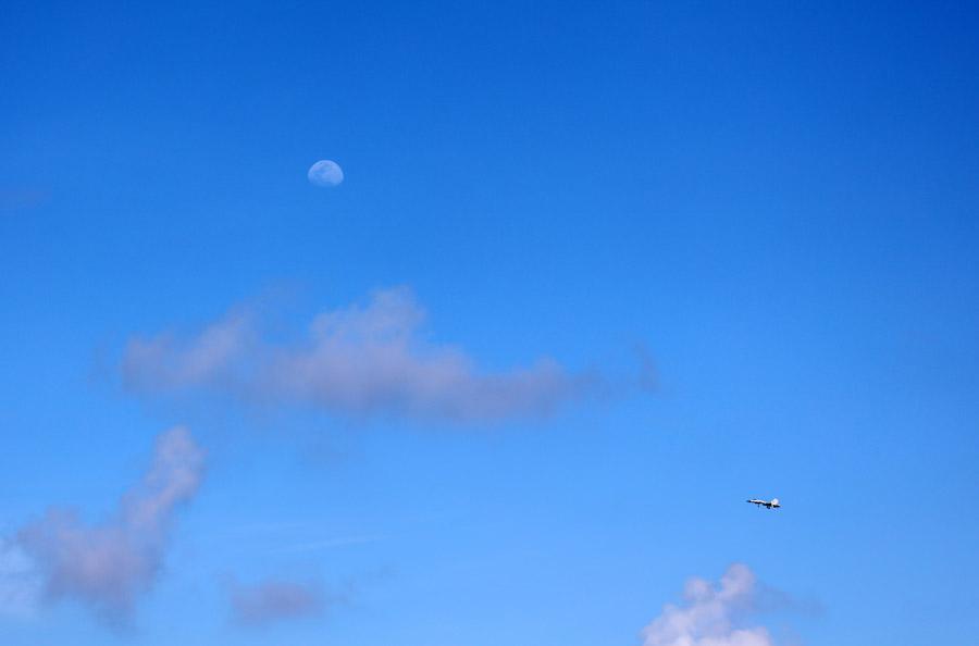 A J-15 fighter jet in training. (Photo provided to chinadaily.com.cn)