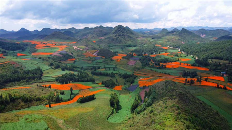A view of Shede Meadow in Yunnan Province. (Photo provided to chinadaily.com.cn)
Recently, the Yunnan Provincial Tourism Development Commission and online travel website Lotour.com organized a tour, inviting tourism experts from Beijing, Shanghai, Guangzhou, Xiamen and Nanjing to experience the charm of Yunnan province.

These experts explored more than 20 scenic spots in seven regions of the province in 168 hours, promoting tourism in Yunnan across three themed travel routes: legendary ancient towns, splendid fairyland scenery and exotic cultures.