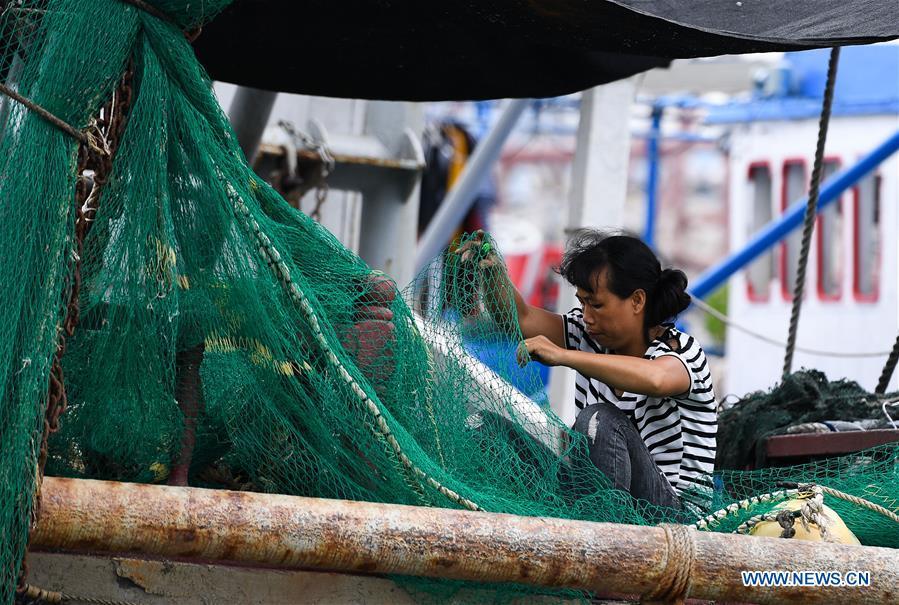 A woman arranges fishing nets at a fishing port in Sanya, south China\'s Hainan Province, Sept. 14, 2018. Mangkhut, the 22nd typhoon this year, is expected to land in south China\'s Guangdong and Hainan provinces on the night of Sept. 16. (Xinhua/Yang Guanyu)