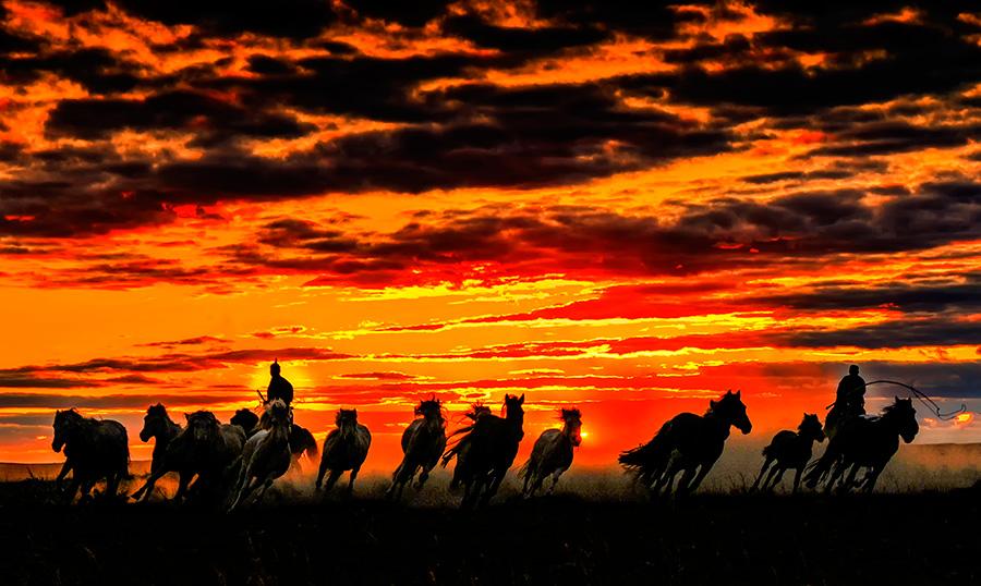 Autumn brings beautiful sunsets over open grasslands at Xilin Gol league in the Inner Mongolia autonomous region. Bathing in the sunset glow, working horses and herdsmen create a picturesque setting. (Photo/China Daily)