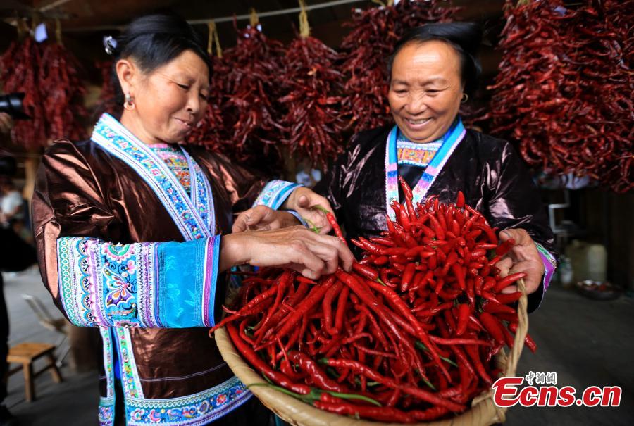 A pepper contest is held at a Miao village in Rongshui Miao Autonomous County, Southwest China’s Guangxi Zhuang Autonomous Region, Sept. 16, 2018. More than 40 Miao women brought their own peppers to participate in the contest to select the best one. Pepper planting has become an important industry for poverty alleviation in the village. (Photo: China News Service/Shi Feng)