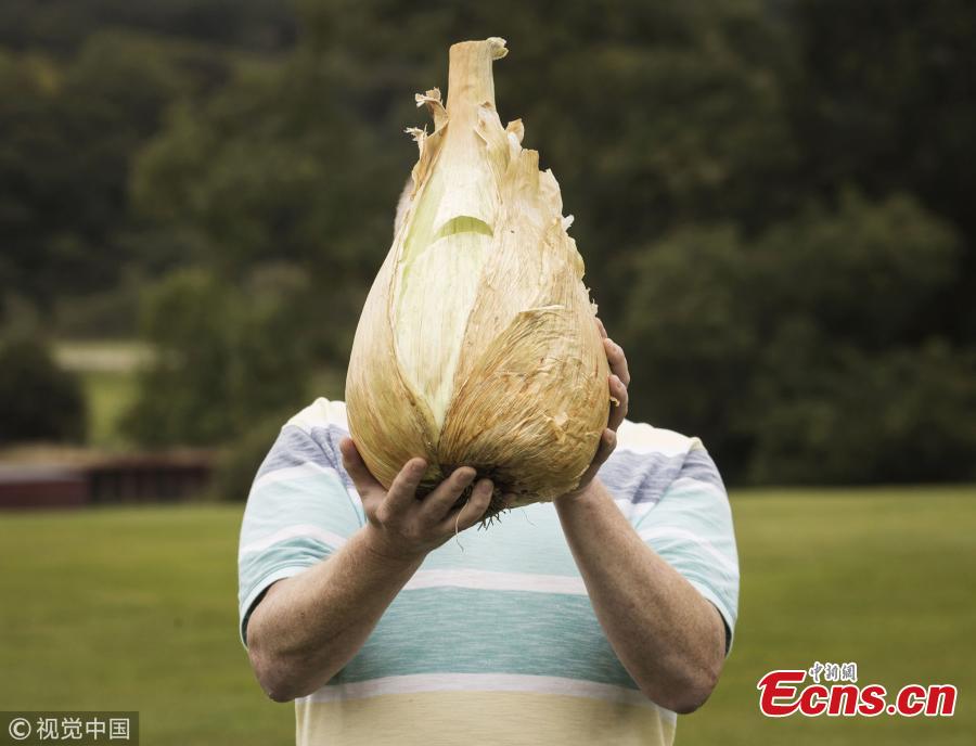Nick Brake and his heaviest onion, which weighed in at 7.755kg.(Photo/VCG)