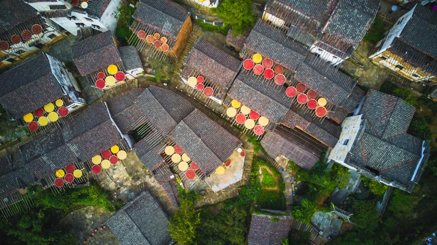 Huangling village in Wuyuan county, East China\'s Jiangxi Province, glitters with an autumn harvest glow, Sept. 15, 2018. (Photo/chinadaily.com.cn)

Local residents of Huangling village in Wuyuan county, East China\'s Jiangxi province, fill their bamboo trays with red chilis, chrysanthemum, corn and tea for air drying and winter storage. This ancient agricultural custom incidentally creates a beautiful scene.