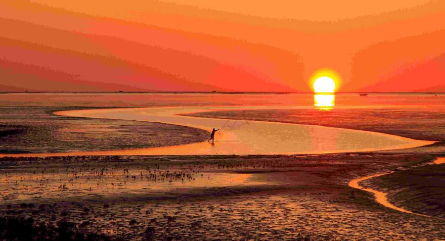 Sunrise casts a deep burnt orange over the Yellow River estuary area, where a fisherman throws a net into the water. (Photo provided to chinadaily.com.cn)