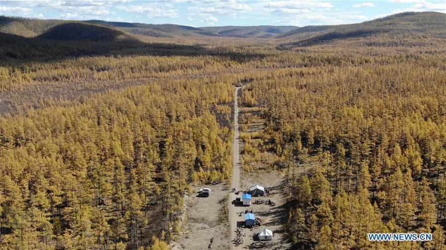 Photo taken on Sept. 18, 2018 shows the reindeer breeding base in Yue\'anli Forest Farm of Genhe forestry bureau in the Greater Khingan Mountains of north China\'s Inner Mongolia Autonomous Region. Staff members at Yue\'anli Forest Farm are responsible for the conservation and breeding work of reindeer in China. (Xinhua/Zou Yu)