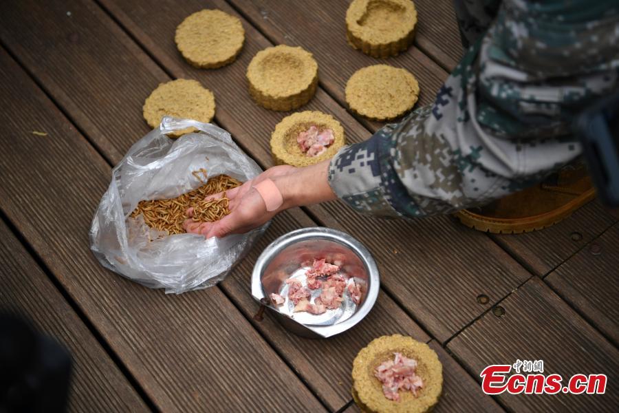 Special moon cakes made with ingredients like fish and fruits are fed to animals at a zoo in Nanning City, South China’s Guangxi Zhuang Autonomous Region, Sept. 20, 2018. The zoo organized a moon cake cooking event ahead of the Mid-Autumn Festival on Sept. 24. (Photo: China News Service/Yu Jing)