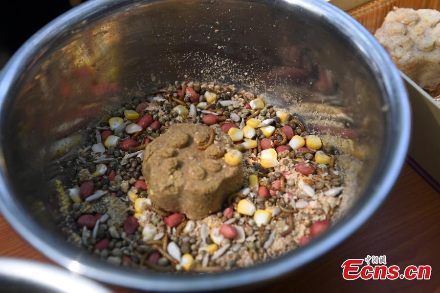Special moon cakes made with ingredients like fish and fruits are fed to animals at a zoo in Nanning City, South China’s Guangxi Zhuang Autonomous Region, Sept. 20, 2018. The zoo organized a moon cake cooking event ahead of the Mid-Autumn Festival on Sept. 24. (Photo: China News Service/Yu Jing)