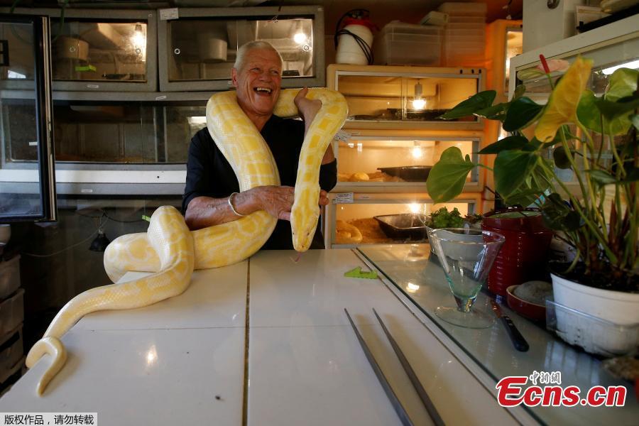 Philippe Gillet, 67 year-old Frenchman who lives with more than 400 reptiles and tamed alligators, poses with a python in his house in Coueron near Nantes, France, Sept. 19, 2018. (Photo/Agencies)