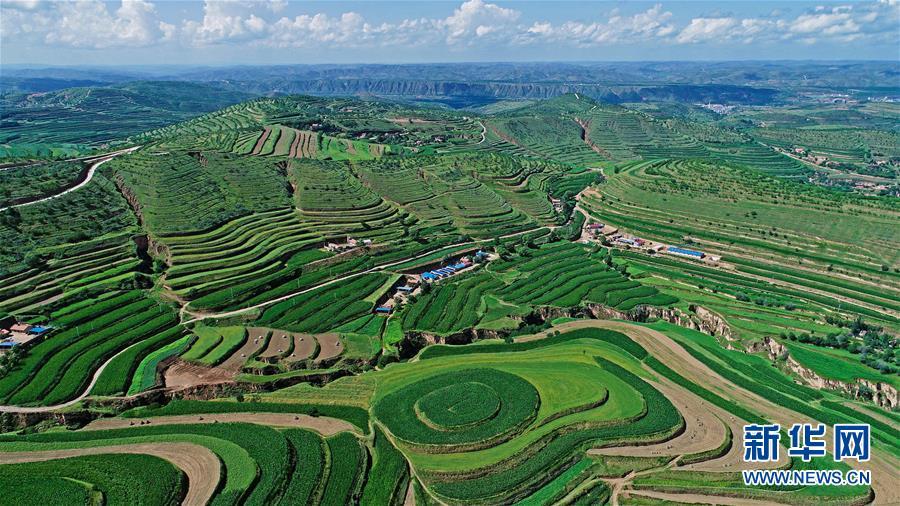 A photo taken July 16 shows a view of Jinjiping terrace park in Pengyuan county of Guyuan city, Ningxia Hui autonomous region. (Photo/Xinhua)

Guyuan, in the Liupanshan Mountain area of Ningxia, is one of the poorest areas in China, troubled by perennial droughts, barren lands and job scarcity. In the past several years, the area has made remarkable progress in the environment and people\'s living conditions with the support of the central and local government.