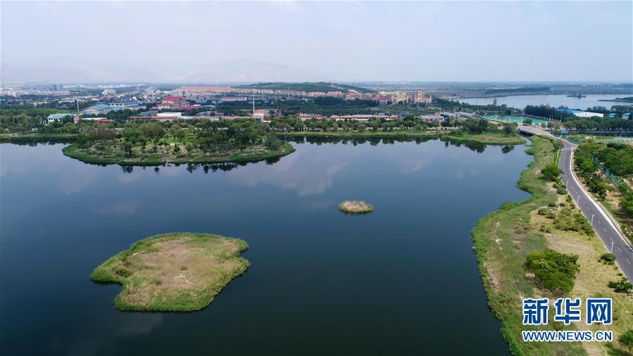 A photo taken July 31 shows Xinghai Lake in Shizuishan city, Ningxia Hui autonomous region. (Photo/Xinhua)

Xinghai Lake was formerly a marshland filled with sewage, wastewater and rubbish. Substantial efforts in recent years have helped transform the lake and improve the environment of Shizuishan, which used to be an industrial base with coal mines.
