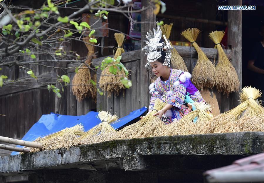 A woman from the Miao ethnic group prepares crops for a harvest-praying ceremony in Wuji Village of Anchui Township in Rongshui Miao Autonomous County, south China\'s Guangxi Zhuang Autonomous Region, Sept. 22, 2018. China will mark its first Farmers\' Harvest Festival on Sept. 23 this year. From 2018 on, the festival, to be celebrated on the Autumnal Equinox each year, is set to be observed annually to greet the harvest season and honour the agricultural workers. (Xinhua/Huang Xiaobang)
