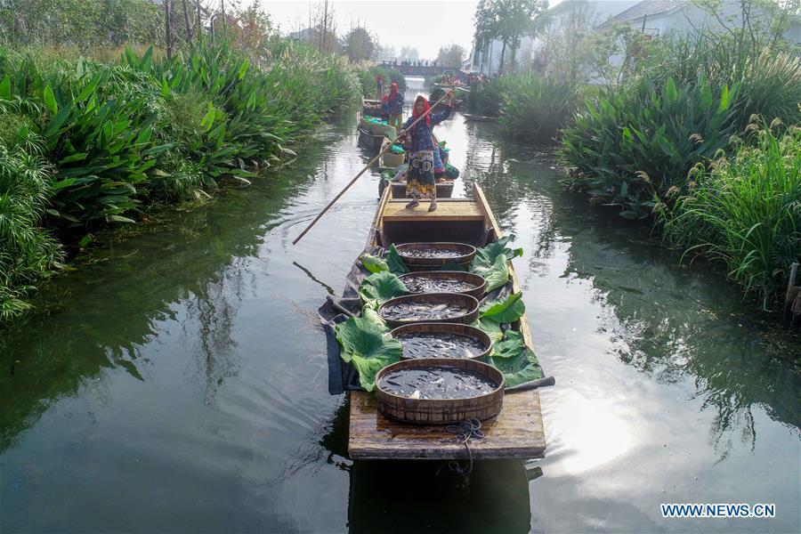 Villagers show specialty agricultural products during a floating market in Dongluo Village of Xinghua, east China\'s Jiangsu Province, Sept. 23, 2018. People across China hold various activities to celebrate the country\'s first Farmers\' Harvest Festival, which falls on Sept. 23 this year. (Xinhua/Tang Dehong)