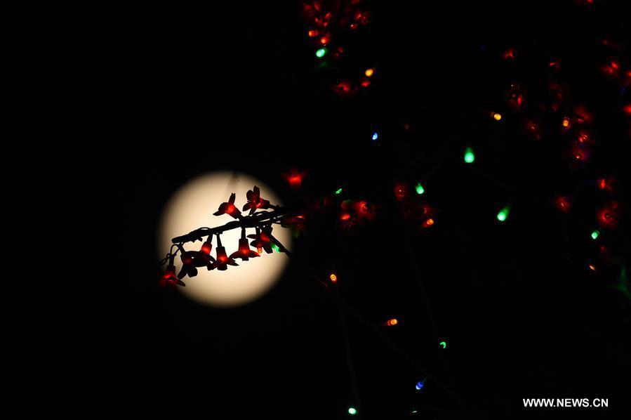 Photo taken on Sept. 24, 2018 shows the view of full moon in Qingzhou City, east China\'s Shandong Province. The Mid-Autumn Festival, which falls on Sept. 24 this year, is a traditional Chinese festival with a custom of family reunion. (Xinhua/Wang Jilin)