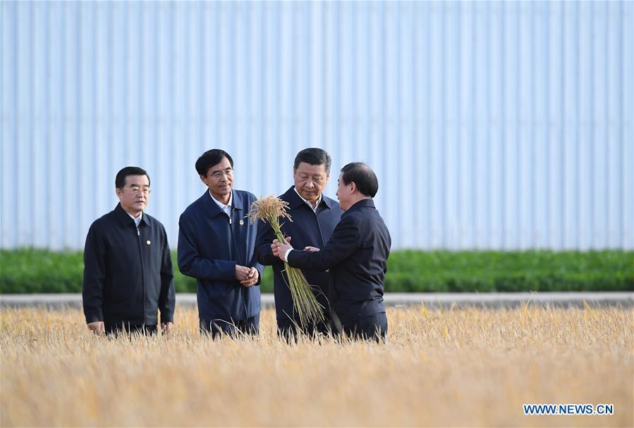 Chinese President Xi Jinping (2nd R), also general secretary of the Communist Party of China (CPC) Central Committee and chairman of the Central Military Commission, visits the farms and land reclamation administrative bureau of Jiansanjiang, northeast China\'s Heilongjiang Province, Sept. 25, 2018. Xi started an inspection tour in Heilongjiang on Tuesday. (Xinhua/Yan Yan)