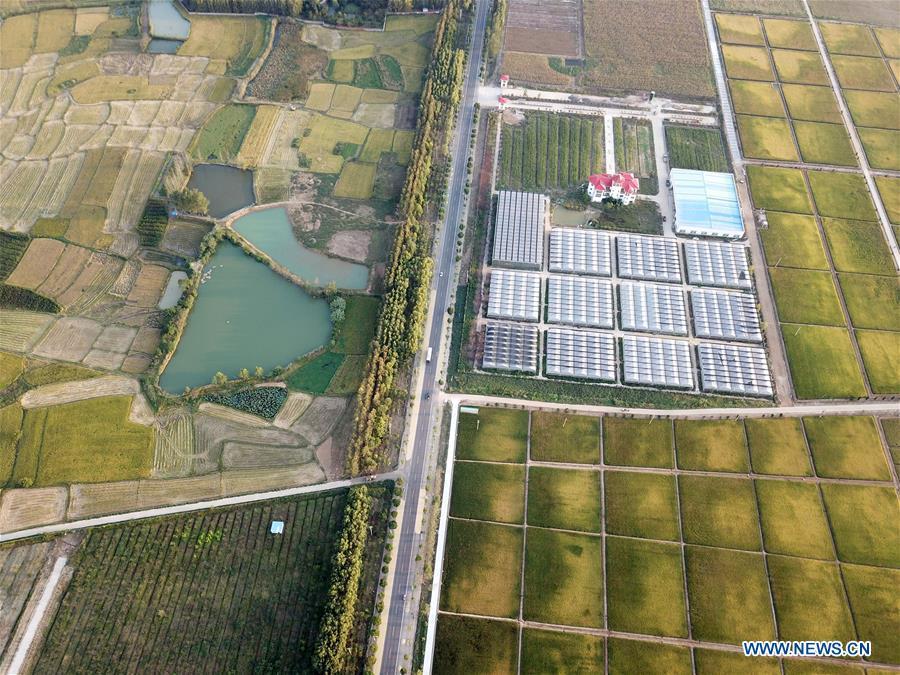 Aerial photo taken on Sept. 26, 2018 shows the rice fields of Xiaogang Village in Fengyang County, east China\'s Anhui Province. Xiaogang, known as cradle of China\'s rural reform, witnessed great change in the past 40 years. (Xinhua/Liu Junxi)