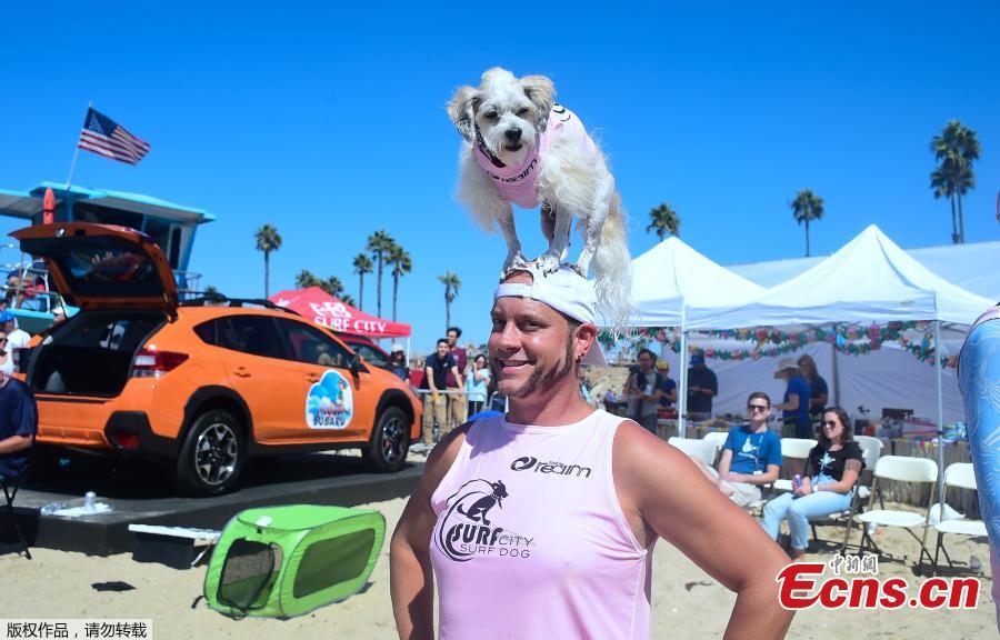 Surfer Ryan Thor poses with his Surf Dog Prince Dudeman during the 10th annual Surf City Surf Dog contest in Huntington Beach, California, Sept. 29, 2018. (Photo/Agencies)