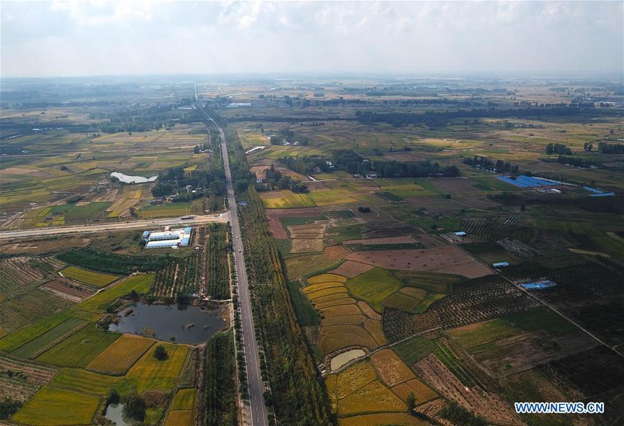 Aerial photo taken on Sept. 28, 2018 shows the rice fields of Xiaogang Village in Fengyang County, east China\'s Anhui Province. Xiaogang, known as cradle of China\'s rural reform, witnessed great change in the past 40 years. (Xinhua/Cai Yang)