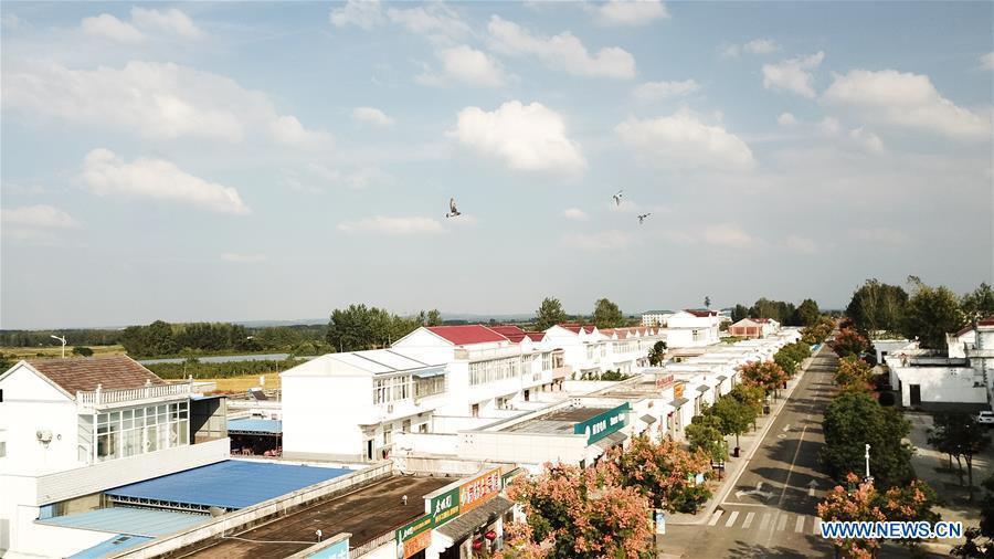 Aerial photo taken on Sept. 27, 2018 shows the view of Xiaogang Village in Fengyang County, east China\'s Anhui Province. Xiaogang, known as cradle of China\'s rural reform, witnessed great change in the past 40 years. (Xinhua/Zhang Duan)