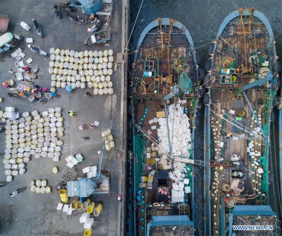 Fishermen work at Xiangzhi fishing port in Shishi, southeast China\'s Fujian Province, Oct. 2, 2018. (Xinhua/Song Weiwei)
