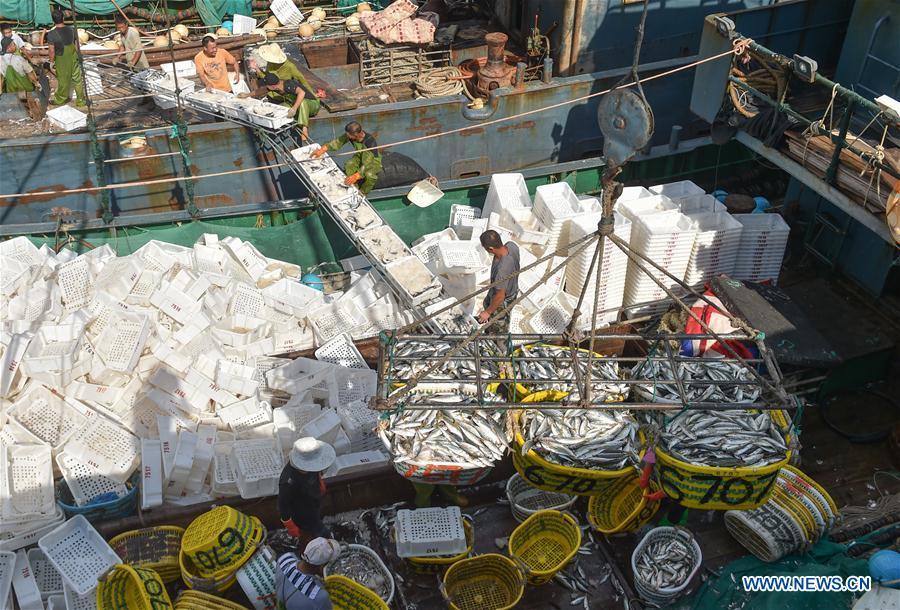 Newly-caught fish are lifted by a crane at Xiangzhi fishing port in Shishi, southeast China\'s Fujian Province, Oct. 2, 2018. (Xinhua/Song Weiwei)