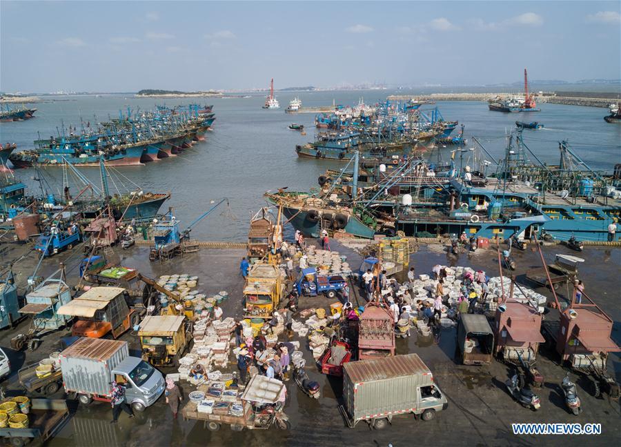 Fishermen work at Xiangzhi fishing port in Shishi, southeast China\'s Fujian Province, Oct. 2, 2018. (Xinhua/Song Weiwei)