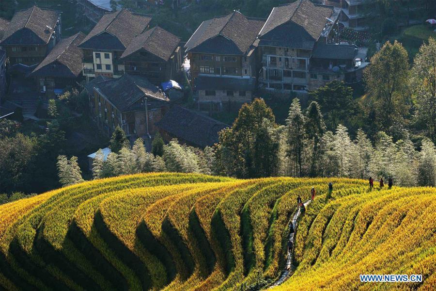 Tourists visit the terraced fields in Longji Township of Longsheng, south China\'s Guangxi Zhuang Autonomous Region, Oct. 3, 2018, the third day of the week-long National Day holiday. (Xinhua/Huang Yongdan)