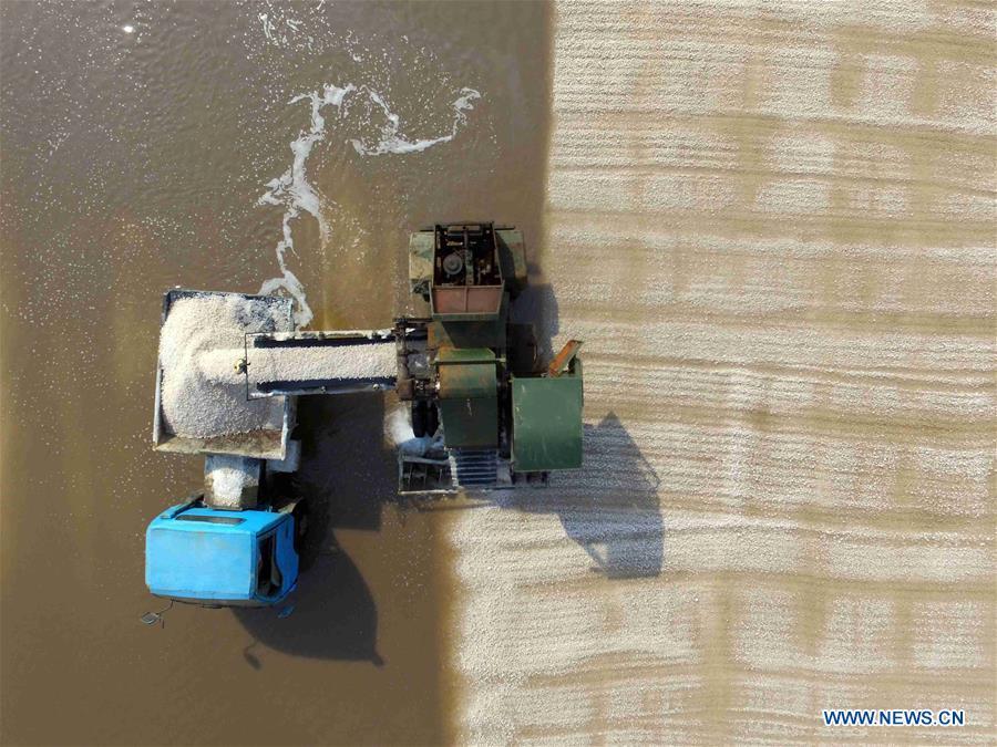 A worker manipulates a machine to harvest salt at saltworks in Binzhou City, east China\'s Shandong Province, Oct. 4, 2018. The saltworks entered the harvest season recently. (Xinhua/Guo Zhihua)