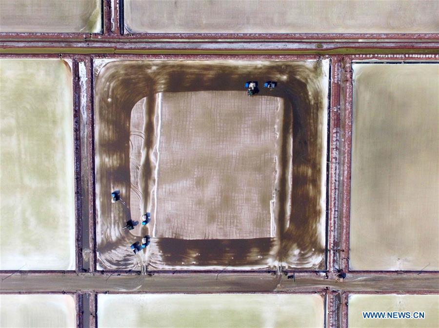 Workers manipulate machines to harvest salt at saltworks in Binzhou City, east China\'s Shandong Province, Oct. 4, 2018. The saltworks entered the harvest season recently. (Xinhua/Guo Zhihua)