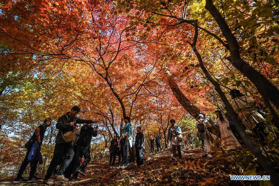 Tourists visit Laobiangou scenic spot during the week-long National Day holiday in Benxi, northeast China\'s Liaoning Province, Oct. 5, 2018. (Xinhua/Pan Yulong)