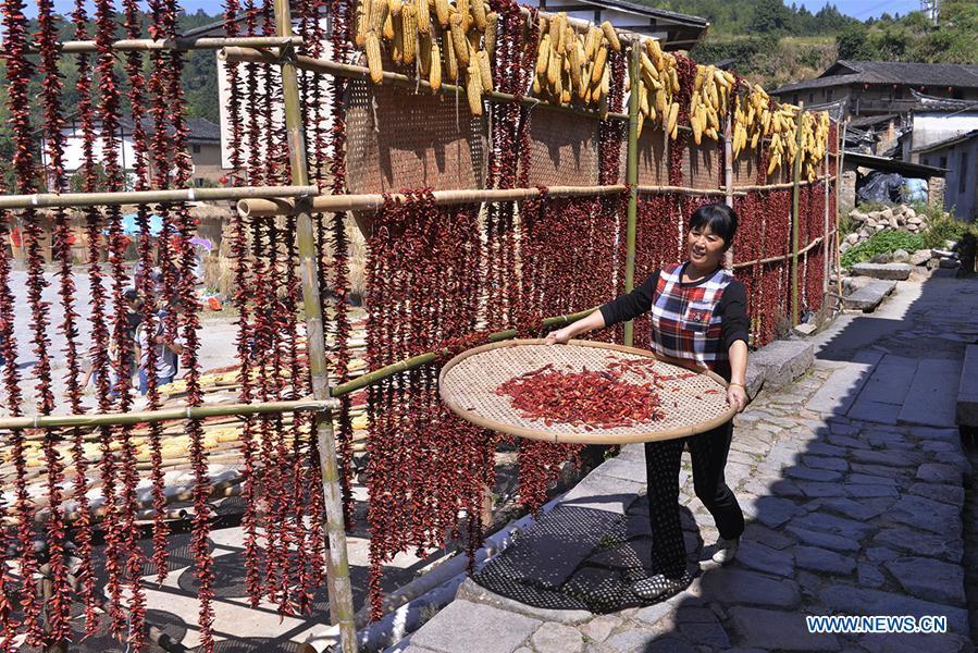 A farmer airs the newly-picked hot peppers at Guifeng Village of Sanming City, southeast China\'s Fujian Province, Oct. 6, 2018. (Xinhua/Wang Wangwang)