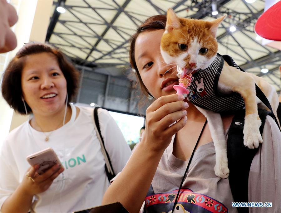 A pet cat tastes cat snacks at the 21st Pet Fair Asia in Shanghai, east China, Aug. 25, 2018. The pet fair is held here from Aug. 22 to 26. Over 1,300 exhibitors bringing more than 16,000 brands of pet supplies participated in the pet fair. (Xinhua/Fang Zhe)
