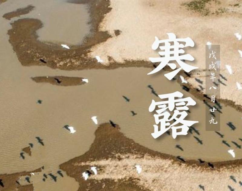 The traditional Chinese lunar calendar divides the year into 24 solar terms. Cold Dew, the 17th solar term of the year, begins this year on Oct 8 and ends on Oct 22 when temperatures fall and frost appears.(Photo/China News Service)