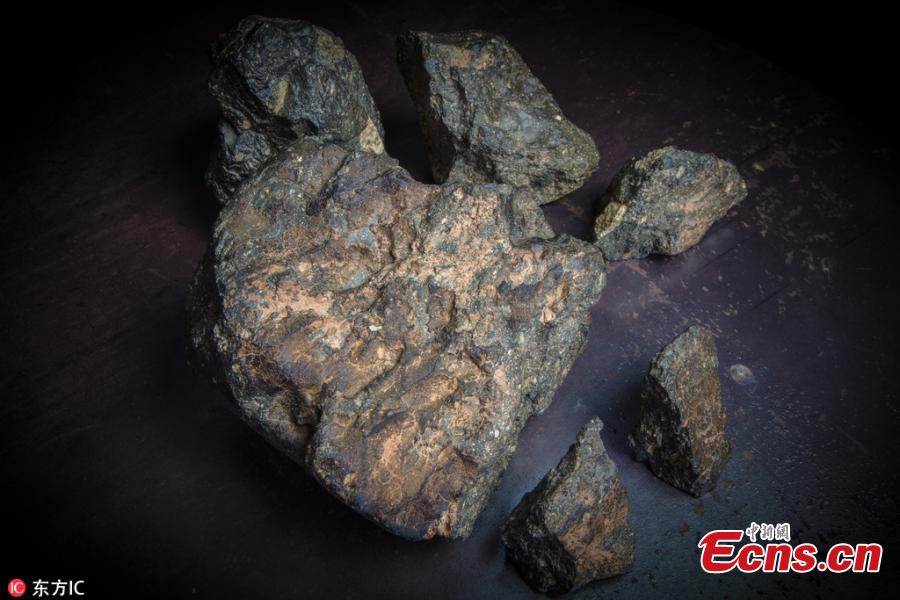 One of the largest lunar meteorites will be put up for auction in Boston later this month. The huge moon rock, which weighs just over 5.5 kilograms, is a unique specimen which crashed to Earth in 2017. The meteorite is comprised of six fragments which fit together perfectly. Known as ‘Buagaba’ or ‘The Moon Puzzle,’ it is now expected to sell for more than $500,000 as part of the Space Exploration Sale. (Photo/IC)