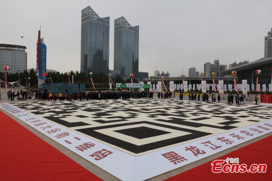 A QR code made by Donghe Agricultural Group using white and black rice has set a new Guinness World Record in Harbin, Northeast China’s Heilongjiang Province, Oct. 10, 2018. The image, 30 meters on each side, used five tons of black rice and five tons of white rice, making it the world\'s largest QR code made from grains. (Photo: China News Service/Yu Kun)