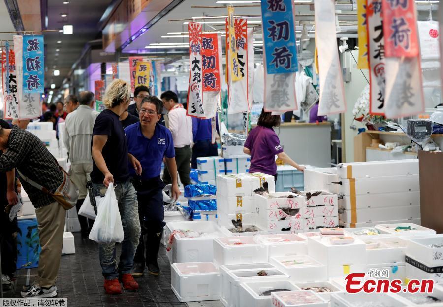 Wholesalers check the quality of frozen tuna displayed during the first tuna auctions on the opening day of the new Toyosu fish market, which has been relocated from Tsukiji, in Tokyo, Japan, October 11, 2018. (Photo/Agencies)