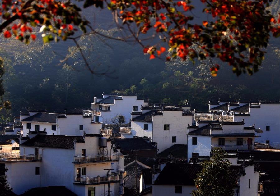 Autumn scenery of an ancient village in Wuyuan county, Jiangxi Province, Oct. 12, 2018. (Photo/Asianewsphoto)