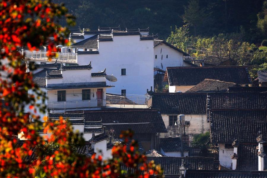 Autumn scenery of an ancient village in Wuyuan county, Jiangxi Province, Oct. 12, 2018. (Photo/Asianewsphoto)