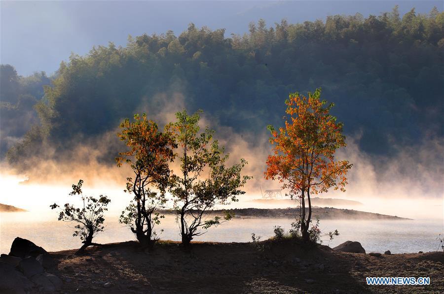 Photo taken on Oct. 11, 2018 shows an autumn scenery of the fog-enveloped Qishu Lake in Huangshan, east China\'s Anhui Province. (Xinhua/Shi Guangde)