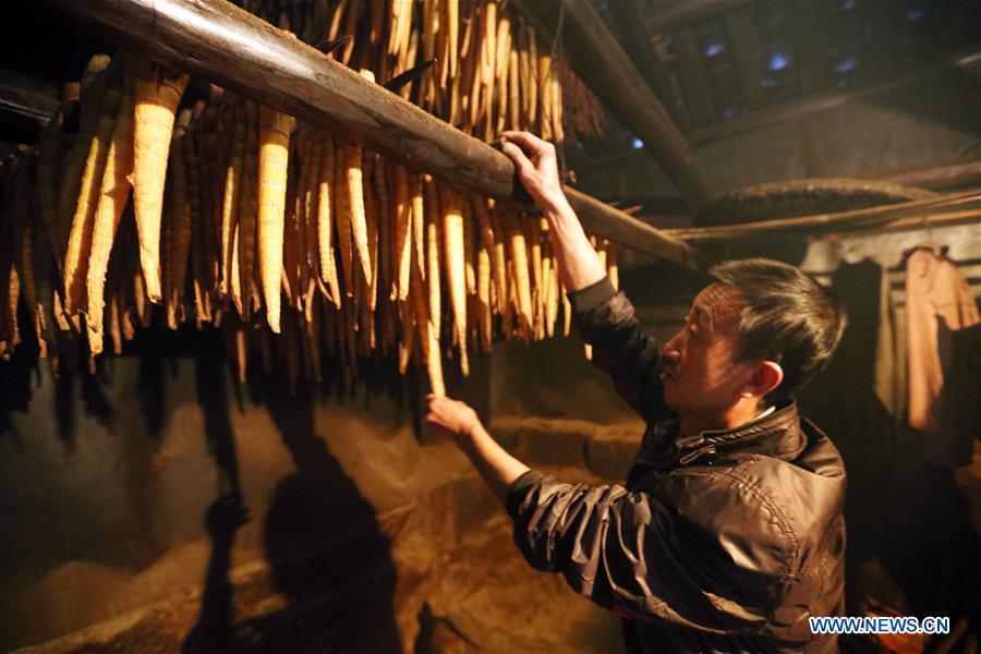 A farmer checks bamboo shoots during a baking process in Lianhua Village of Baoyuan Township, Chishui, southwest China\'s Guizhou Province, Oct. 14, 2018. There are 1.32 million mu (0.88 million hectares) of bamboo forests in Chishui. The bamboo-related industry has become an income booster for the locals. (Xinhua/Wang Changyu)