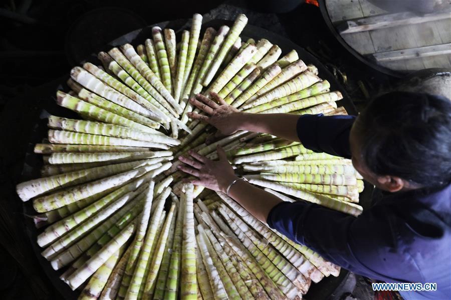A farmer processes shelled bamboo shoots in Lianhua Village of Baoyuan Township, Chishui, southwest China\'s Guizhou Province, Oct. 14, 2018. There are 1.32 million mu (0.88 million hectares) of bamboo forests in Chishui. The bamboo-related industry has become an income booster for the locals. (Xinhua/Wang Changyu)