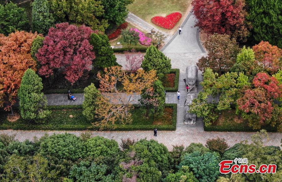 A view of the Shixiang Road, flanked by trees with great autumn foliage, at the Ming Xiaoling Mausoleum in Nanjing City, East China’s Jiangsu Province, Oct. 15, 2018. At the southern foot of Purple Mountain, Xiaoling is the mausoleum of the first Ming Dynasty (1368-1644) emperor Zhu Yuanzhang. (Photo: China News Service/Yang Bo)