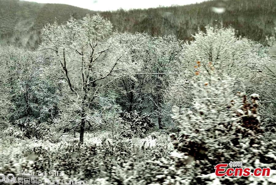 The first snow of the winter hits Heihe City, Northeast China’s Heilongjiang Province, Oct. 15, 2018. (Photo/VCG)