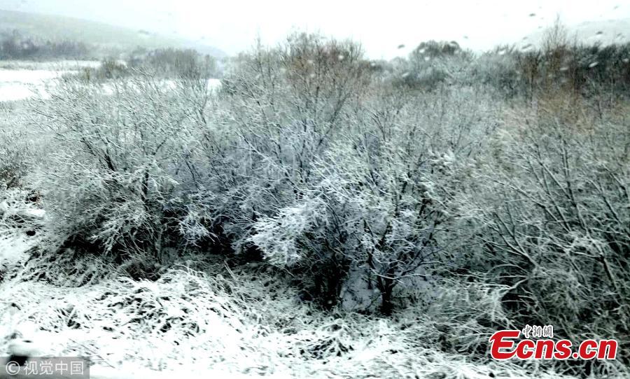 The first snow of the winter hits Heihe City, Northeast China’s Heilongjiang Province, Oct. 15, 2018. (Photo/VCG)
